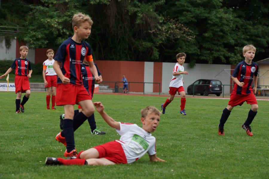 Kantersieg zum Saisonabschluss für unsere F Junioren